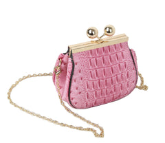 Small Gold Chain Strap Fashion Crossbody Purse